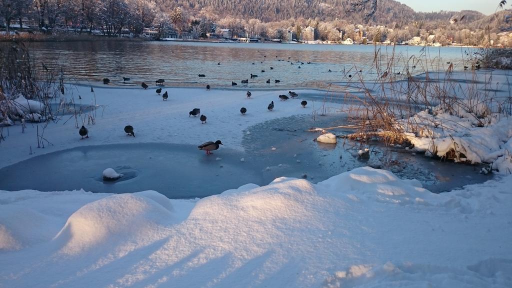 Ferienparadies Gutounik Portschach am Woerthersee Exterior foto